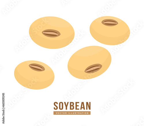 Groups of soybean in flat illustration. Leguminous vegetable isolated on white background. Fresh soy beans in cartoon style. Vector illustration of soybean stack