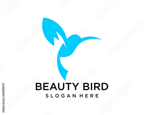 blue bird fly logo design template
