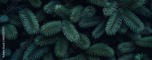Winter beautiful green fir tree branches background. Spruce with needles. Closeup. Nature winter banner. Christmas wallpaper concept with copy space