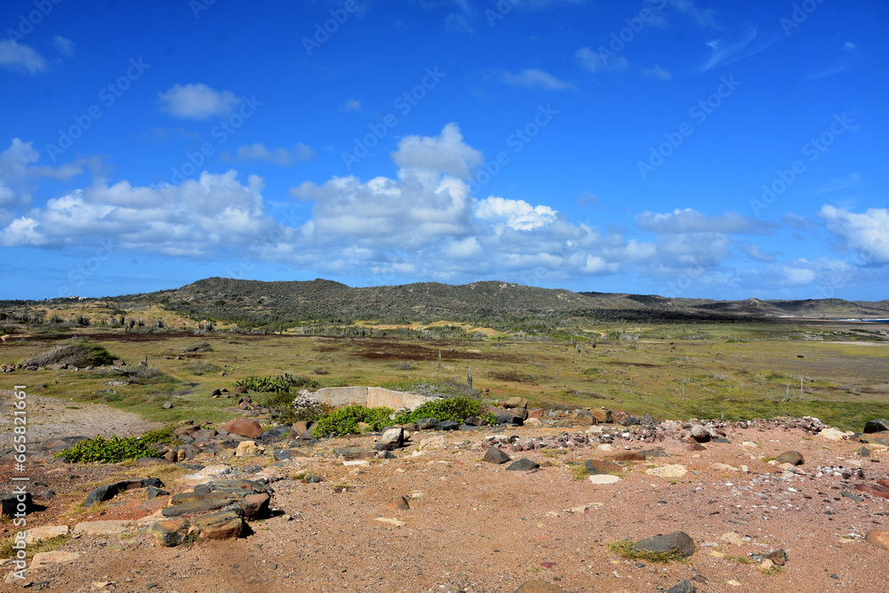 Arubas Desert Landscape on a Spring Day