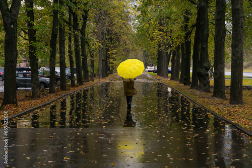 Fototapeta Naklejka Na Ścianę i Meble -  a woman with a bright yellow umbrella walks in the rain on a city street, an alley of trees