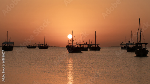 dhows in the shore parked at katara beach in qartar during dhow festival.