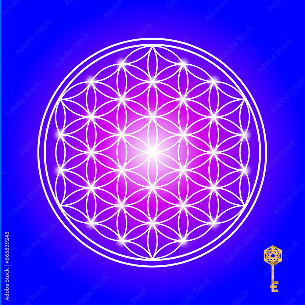 Flower of Life Flower of Life
