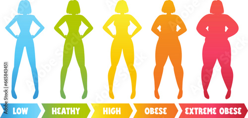 Woman types obesity Girl with low and high BMI index. Fatness concept. Stock vector illustration isolated on white background in cartoon style.