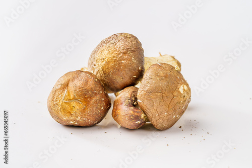 Fresh Agaricus blazei on white background