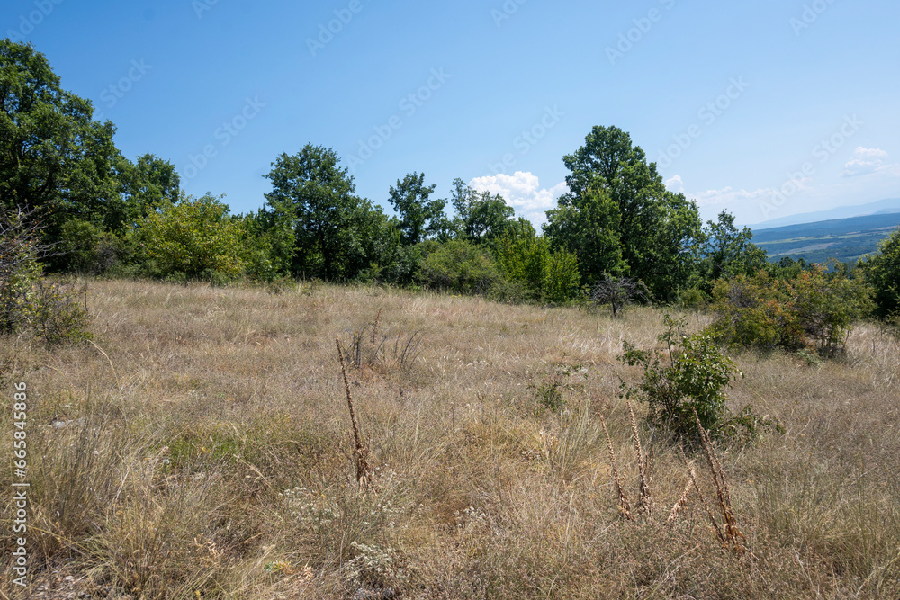 Summer Landscape of Rudina mountain, Bulgaria Summer Landscape of Rudina mountain, Bulgaria