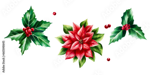 Watercolor set of christmas poinsettia and holly berry. New year botanical december symbol illustration isolated on white background. For designers, decoration, shop, for