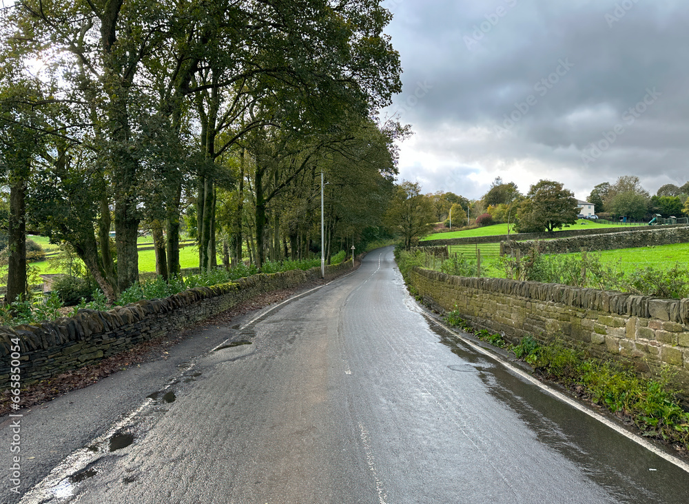 Rural view up, Cockin Lane, with old trees, stone walls, fields and wild plants, on a wet day in, West Scholes, UK