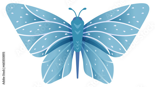 Photography Fragile blue butterfly with patterned wings. Exotic moth
