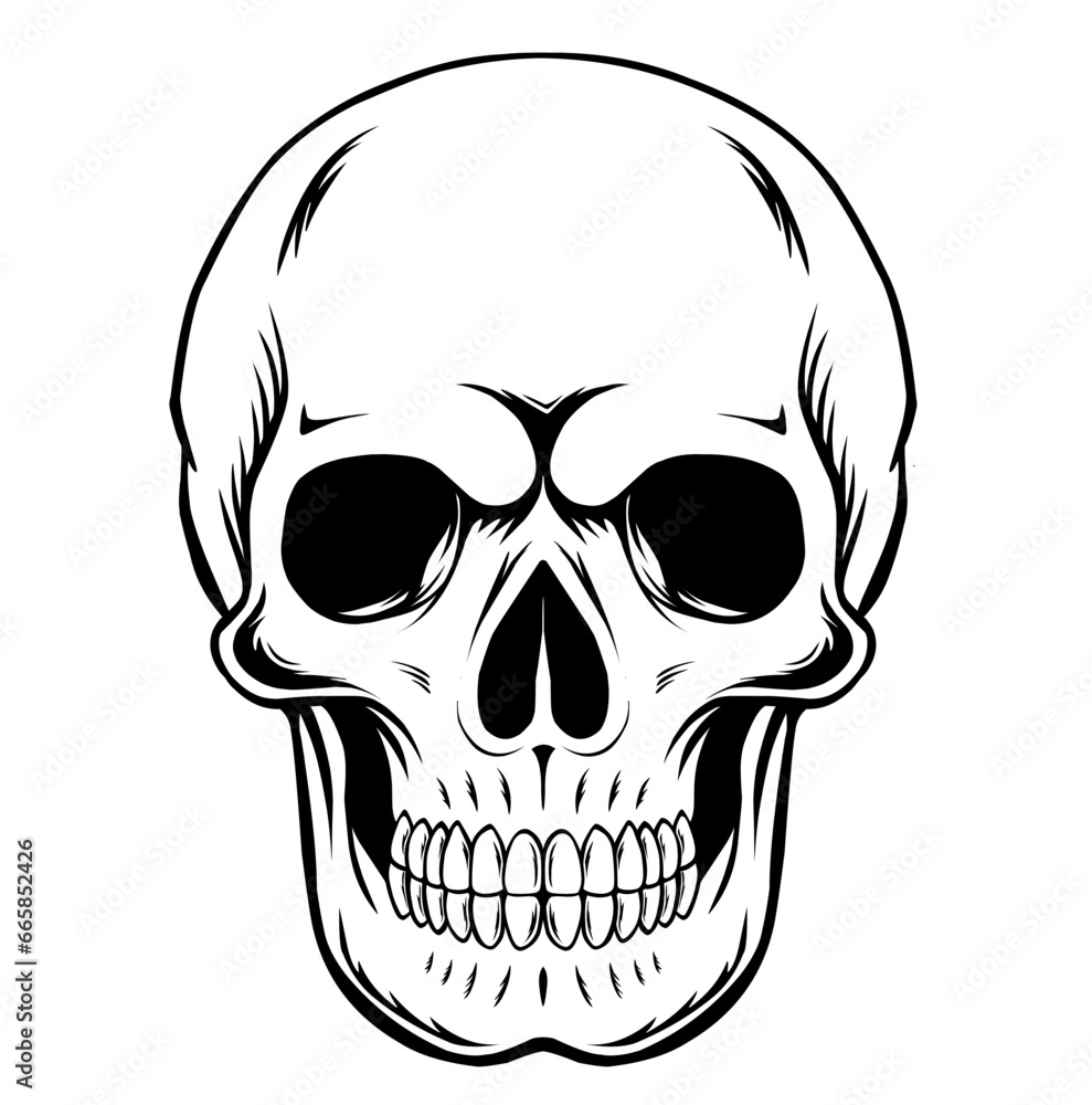 Skull head illustration vector art hand drawn isolated Skull head illustration vector art hand drawn isolated
