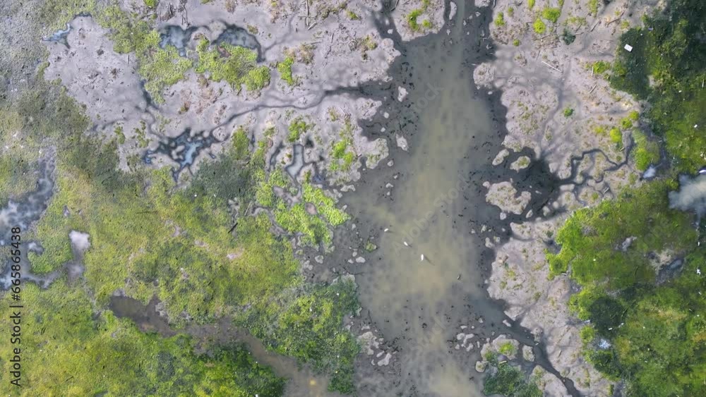 Aerial view mangrove forest as land clearing activities Aerial view mangrove forest as land clearing activities