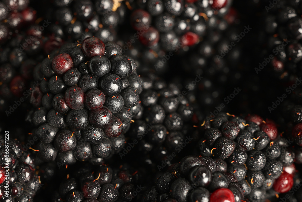 Wet tasty ripe blackberries as background ,closeup Wet tasty ripe blackberries as background ,closeup