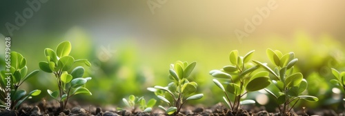 banner of nature of green leaf in garden at summer, generative AI