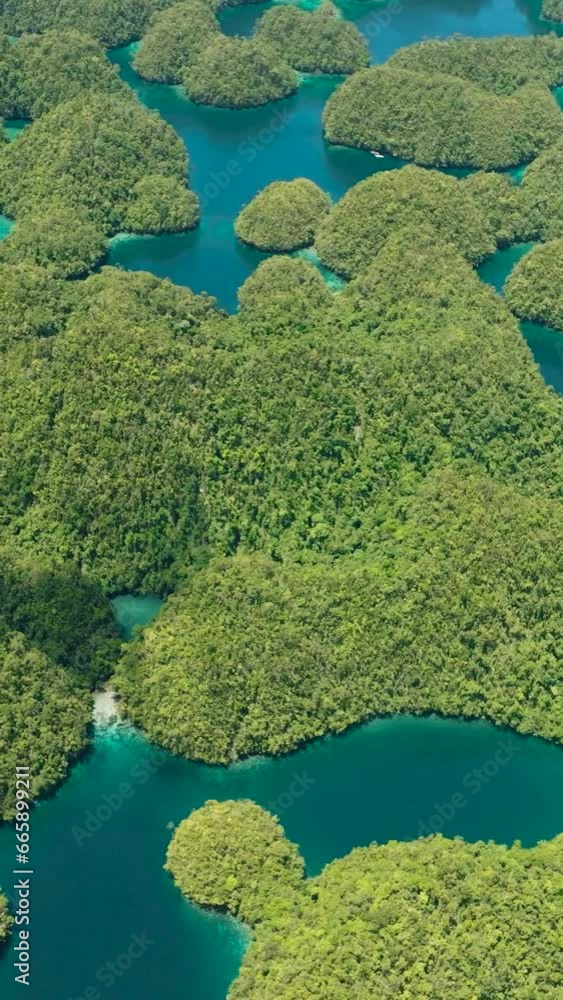 Transparent turquiose water in lagoon form of pools. Seascape with coral reefs. Bucas Grande Island. Mindanao, Philippines. Vertical view. Transparent turquiose water in lagoon form of pools. Seascape with coral reefs. Bucas Grande Island. Mindanao, Philippines. Vertical view.