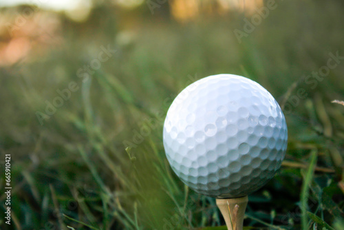 Golf ball set on tee, background of long grass and flare.