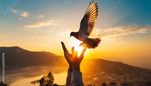 Silhouette pigeon return coming to hands in air vibrant sunlight sunset sunrise background. Freedom making merit concept. Nature animal people hope pray holy faith. International Day of Peace theme photo