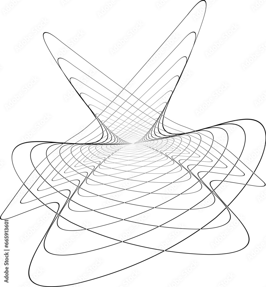 spider web spider web