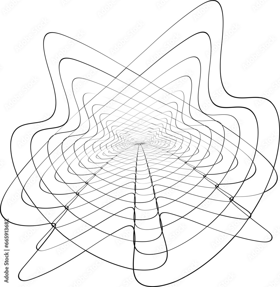 spider web spider web