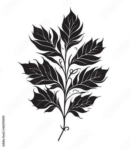 A twig with leaves