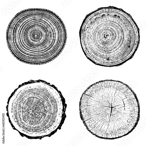 Tree stump circle rings. Wood log silhouette print.