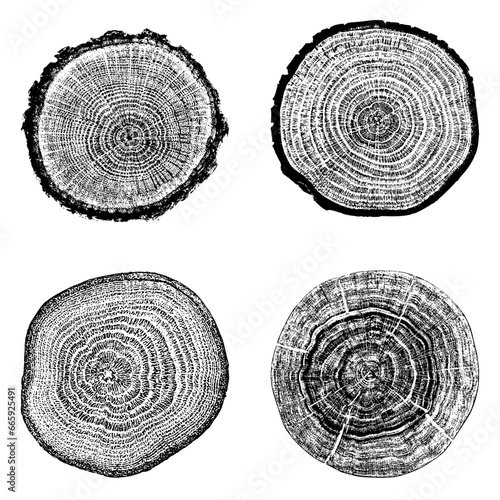 Tree stump circle rings. Wood log silhouette print.