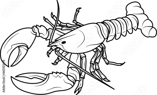 lobster line