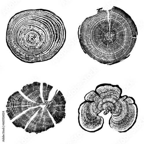 Tree stump circle rings. Wood log silhouette print.