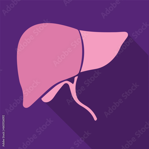  internal organ liver icon