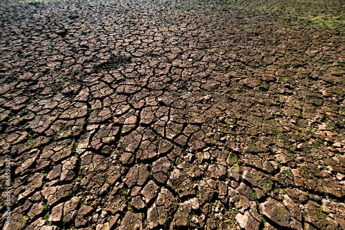 Cracked soil layer of a dried lake. Desertification, drought, climate crisis, ecological degradation. Soil drought. Deep cracks. Dried soil. Environmental protection. Selective focus.