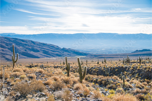 Landscape of mountains and cactus in Calchaquí Valleys of Tucumán photo