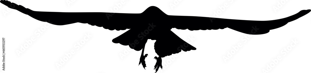 illustration of crow illustration of crow