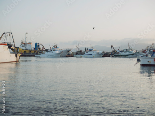 Horizontal view of motorboats and ships in a calm water of a Sardinian fisherman town Golfo Aranci. A line of vessels and hills separating water from sky. A seagull flying above.