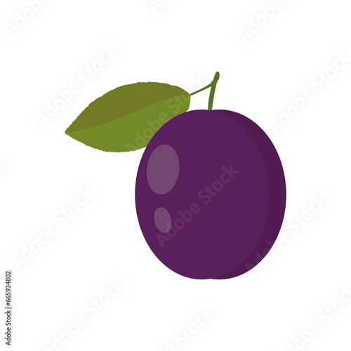 Plum Illustration - Plum with stem and leaf isolated on white background