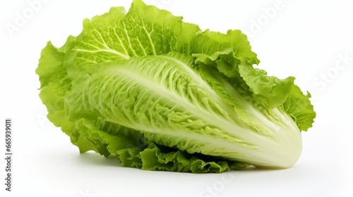 cabbage isolated on white background generated by AI tool