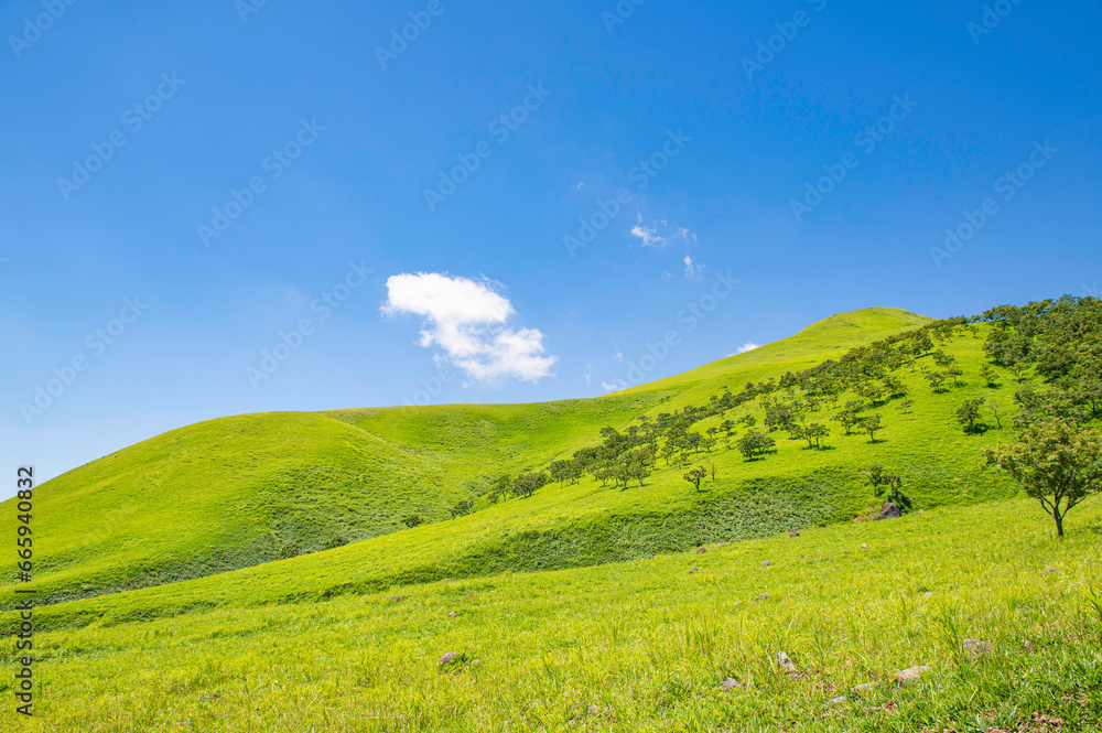 由布岳登山・登山口付近から望む飯盛ヶ城 由布岳登山・登山口付近から望む飯盛ヶ城