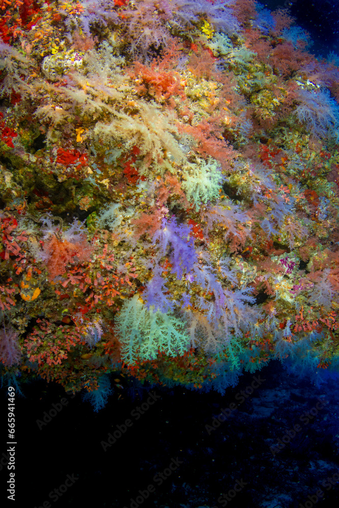 Vaadhoo caves and reef near Male Vaadhoo caves and reef near Male