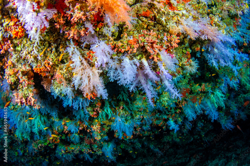 Vaadhoo caves and reef near Male Vaadhoo caves and reef near Male