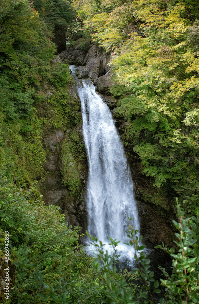 宮城県仙台市の秋保大滝です
