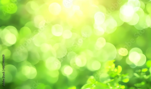 Green bokeh abstract light background. defocused nature background.