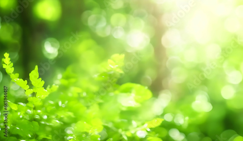 Green bokeh abstract light background. defocused nature background.