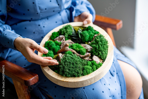 Woman holds a composition with succulents and stabilized moss in hands