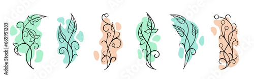 Trendy botanical elements set. Simple and elegant ivy doodles collection