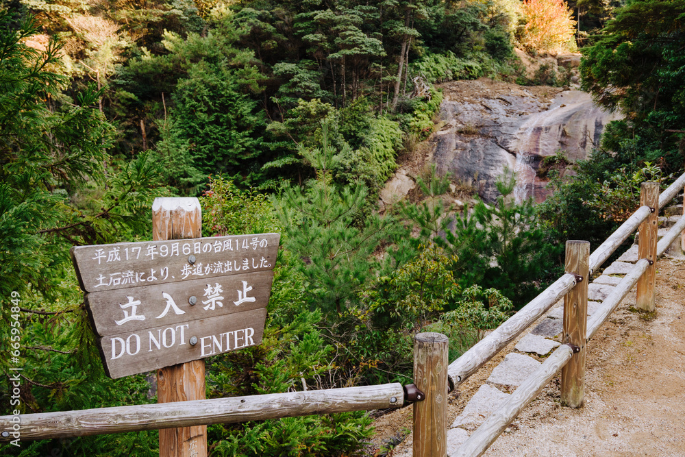 Forest scenery along the Mount Misen hike walking track, Miyajima (Itsukushima), Japan.
