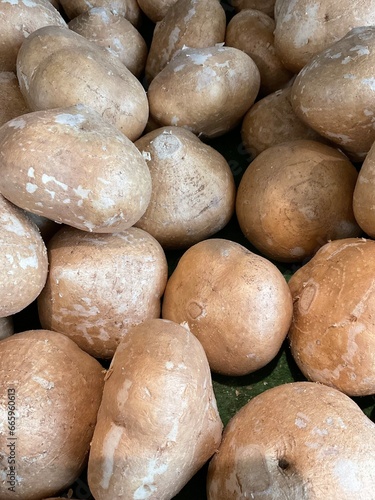 Pachyrhizus erosus, commonly known as jicama although the name most commonly refers to the plant's edible tuberous root. The flavor is sweet and starchy, reminiscent of some apples  photo