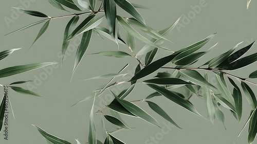 Bamboo leaves pattern High-definition  seamless texture