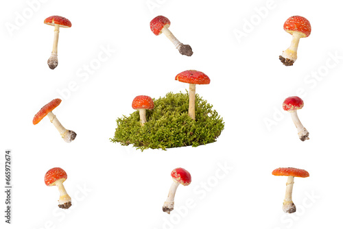 Collection of red fly agarics. Isolated on white background.