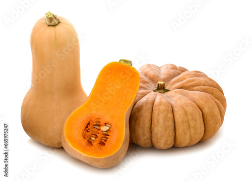 Pumpkins group photo