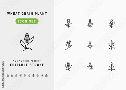 Wheat Grain Plant IncludesTimothy Grass, Pearl Millet, Sorghum, Buckwheat, and Cereal Rye. Line Icons Set. Editable Stroke Vector Stock. 96 x 96 Pixel Perfect.