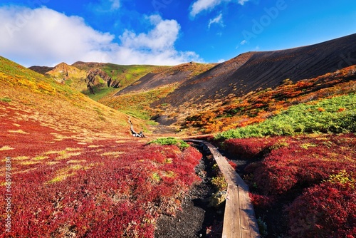 ムーミン谷と呼ばれる秋田駒ヶ岳の紅葉 photo