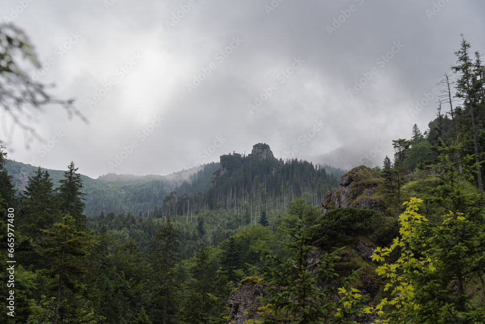 Mountain landscape, early morning fog in the Tatra mountains in summer.